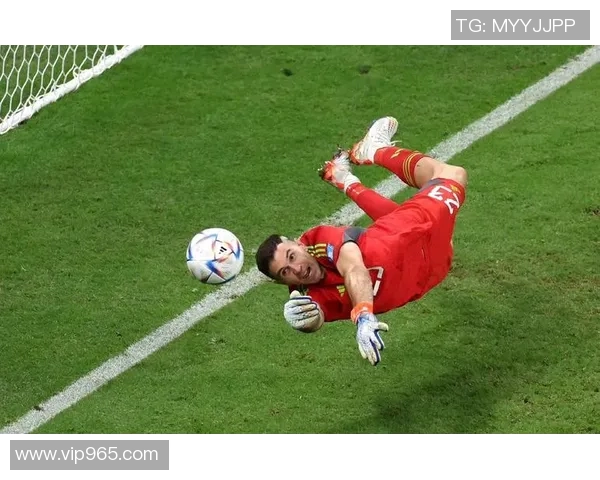 阿根廷与荷兰点球大战回顾:激情与荣耀的巅峰对决 阿根廷与荷兰点球大战回顾:激情与荣耀的巅峰对决