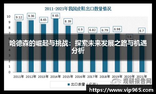 哈德森的崛起与挑战：探索未来发展之路与机遇分析